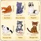 6 PCS Needle Felting Kit, Animal Needle Felting Beginner Kits Wool Felt Needle Felting Tools with Instruction for DIY Craft Animal Home Decoration (Cute Cat)